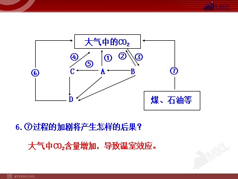 高中生物必修三高中生物PPT授课课件（人教版必修3）5.3生态系统的物质循环第10页