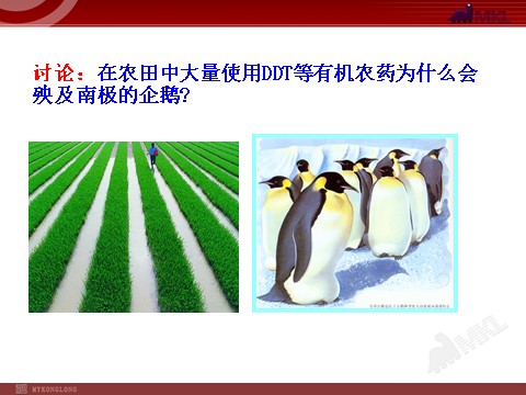 高中生物必修三高中生物PPT授课课件（人教版必修3）5.3生态系统的物质循环第6页