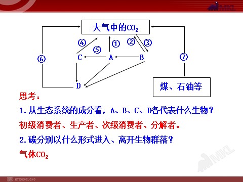 高中生物必修三高中生物PPT授课课件（人教版必修3）5.3生态系统的物质循环第8页