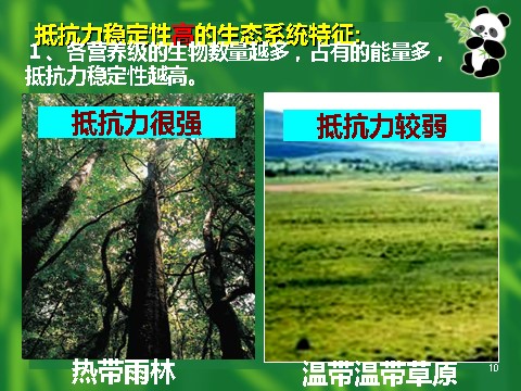 高中生物必修三必修3 稳态与环境5.5生态系统的稳定性（42张）第10页