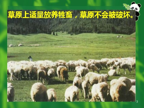 高中生物必修三必修3 稳态与环境5.5生态系统的稳定性（42张）第3页