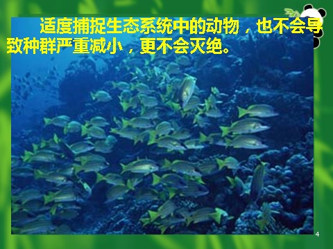 高中生物必修三必修3 稳态与环境5.5生态系统的稳定性（42张）第4页