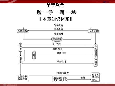 高中生物必修三高效课堂同步课件：5章末整合《生态系统及其稳定性》（必修3）第1页