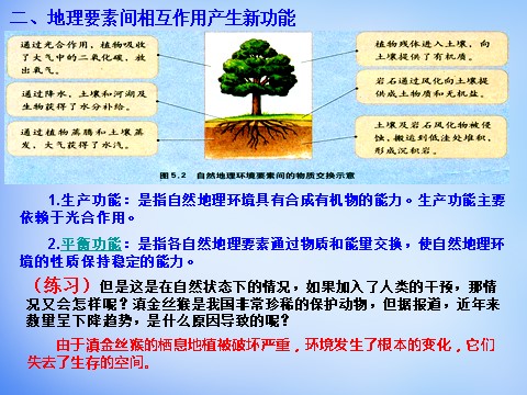 高中地理必修一高中地理 5.1自然地理环境的整体性课件 新人教版必修1第6页