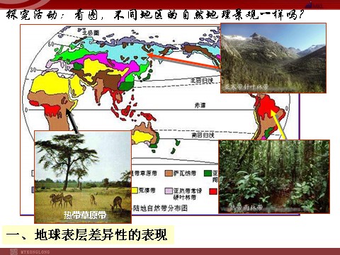 高中地理必修一地理：5.2《自然地理环境的差异性》课件（新人教版必修1）第2页