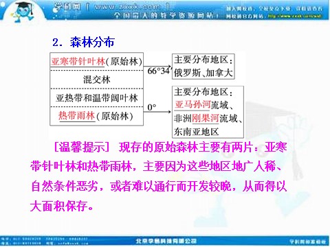 高中地理必修三高考地理人教版一轮复习课件：第十三章第二讲 森林的开发和保护——以亚马孙热带雨林为例第4页