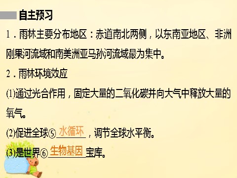 高中地理必修三高中地理 第二章 第二节 课时1 雨林的全球环境效应 雨林生态的脆弱性课件 新人教版必修3第10页