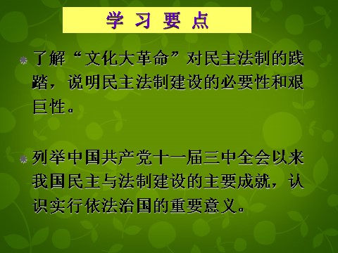 高中历史必修一高中历史 第21课 民主政治建设的曲折发展课件 新人教版必修1第3页