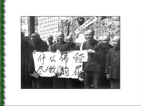 高中历史必修一必修1课件：第21课民主政治建设的曲折发展（新人教版）第9页