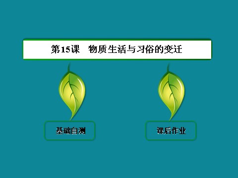 高中历史必修二高中历史人教版必修二 40分钟课时作业：5-14第2页