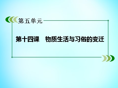 高中历史必修二高中历史 第五单元 第14课 物质生活与习俗的变迁课件 新人教版必修2第9页