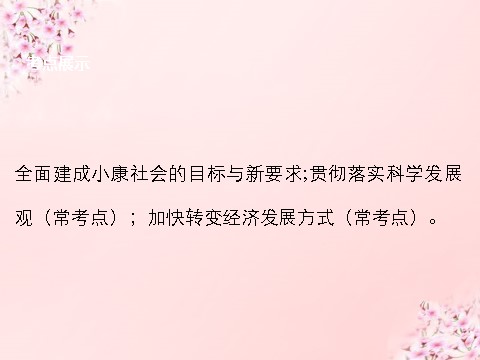 高中政治必修一第四单元 第十课 科学发展观和小康社会的经济建设课件 新人教版必修1第2页