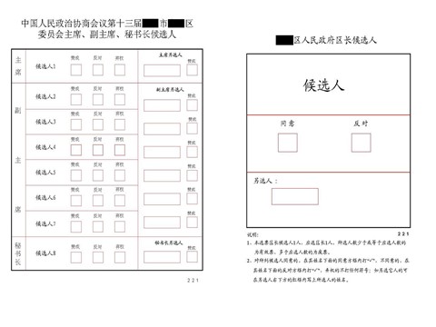 高中政治必修二2.1民主选举：投出理性的一票（课件）（新人教版必修2）高一政治课件：2第3页