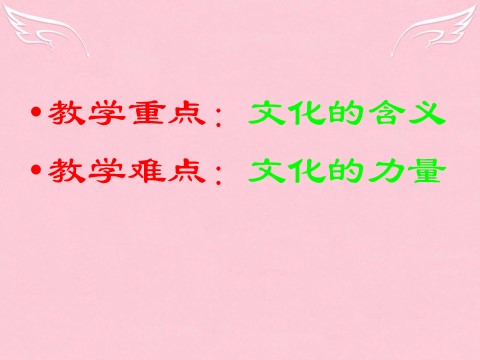 高中政治必修三第一课 第一框 体味文化课件 新人教版必修3第4页