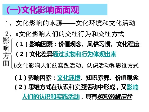 高中政治必修三1-2-1感受文化影响（新人教版）高二政治必修3课件：第9页