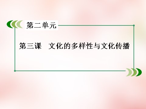 高中政治必修三第2单元 第3课 文化的多样性与文化传播课件 新人教版必修3高三政治一轮复习 第10页