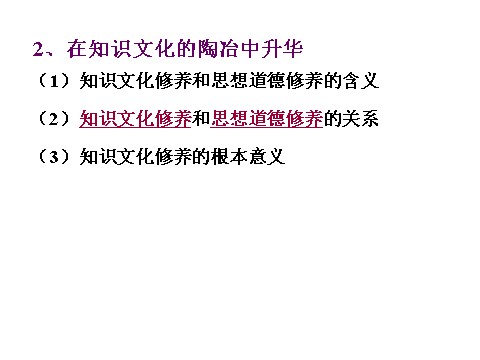 高中政治必修三4-10-2思想道德修养与科学文化修养（新人教版）高二政治必修3课件：第4页