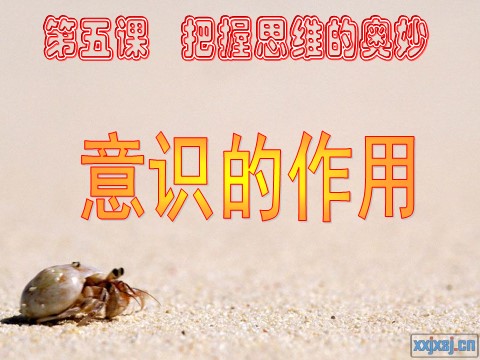 高中政治必修四高二政治必修4课件：2.5.2意识的作用（新人教版）第2页