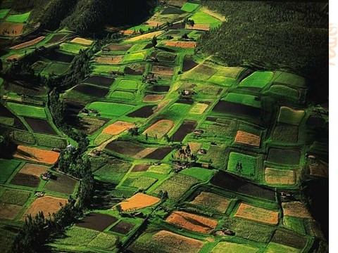 一年级上册美术我在空中飞 4第10页