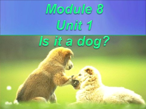 一年级上册英语（外研一起点）Module 7 Unit 1 Is it a dog 课件3第1页