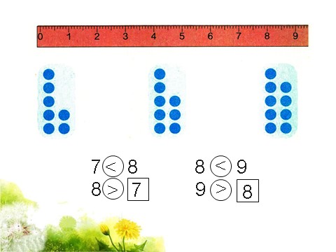 一年级上册数学(人教版）《8和9》课件2第5页