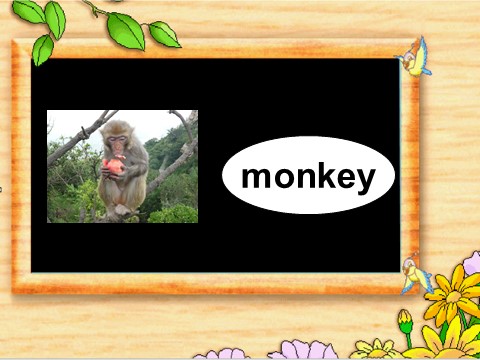 一年级上册英语（SL版）Unit 3 Animals Lesson 1 课件2第9页