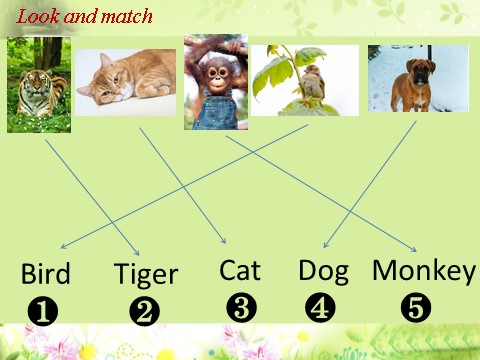 一年级上册英语（SL版）Unit 3 Animals 课件 2第2页