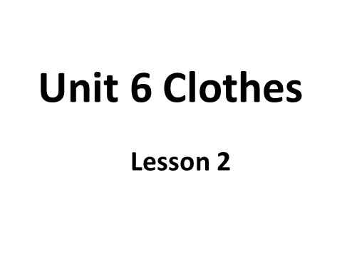 一年级下册英语（SL版）Unit 6 Clothes Lesson 2 课件 1第1页
