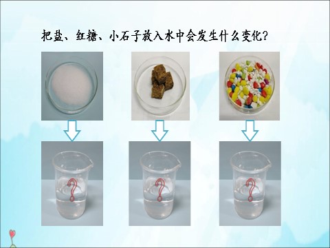 一年级下册科学（教科版）一下科学1.6它们去哪里了ppt课件第2页