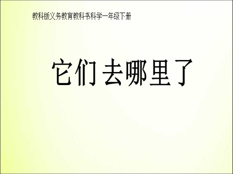 一年级下册科学（教科版）教研课1.6它们去哪里了ppt课件(一下科学)第1页