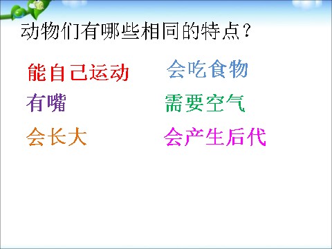 一年级下册科学（教科版）科学2.1我们知道的动物ppt课件第8页