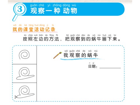 一年级下册科学（教科版）一下科学2.3观察一种动物ppt课件第4页