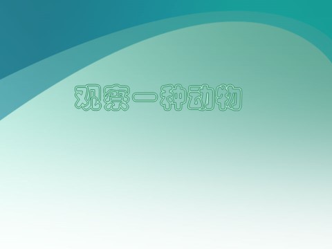 一年级下册科学（教科版）科学2.3观察一种动物ppt课件第1页