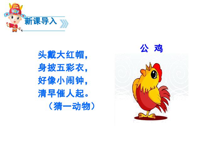 一年级下册语文语文《第5课:小公鸡和小鸭子》第4页