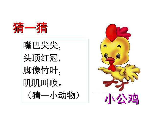 一年级下册语文教研课《第5课:小公鸡和小鸭子》第6页