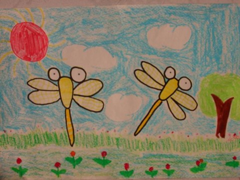 二年级上册美术《蜻蜓飞飞》课件1第8页
