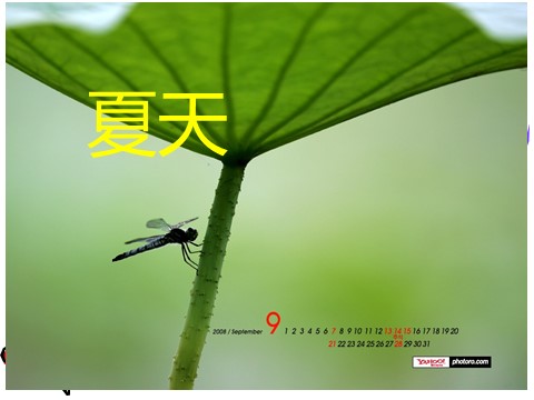 二年级上册科学（教科版）6、不同的季节 （精品课件）第9页