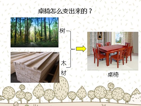 二年级上册科学（教科版）1、 我们的生活世界 （精品课件）第10页