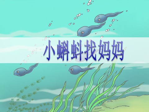 二年级上册语文06.《小蝌蚪找妈妈》课件PPT第1页