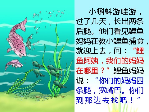 二年级上册语文06.《小蝌蚪找妈妈》课件PPT第8页