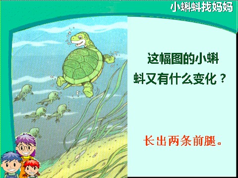 二年级上册语文03.《小蝌蚪找妈妈》课件PPT(1)第8页