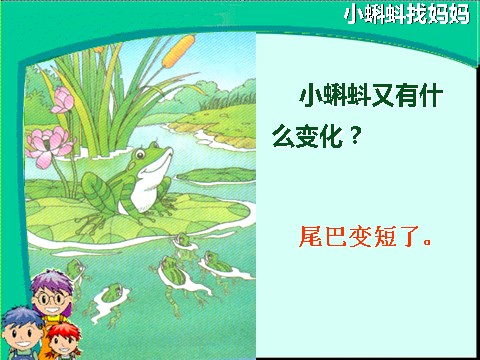 二年级上册语文03.《小蝌蚪找妈妈》课件PPT(1)第9页