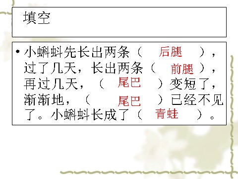 二年级上册语文（课堂教学课件2）小蝌蚪找妈妈第10页