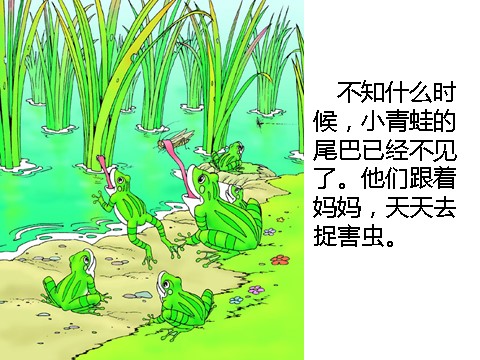 二年级上册语文（课堂教学课件5）小蝌蚪找妈妈第9页