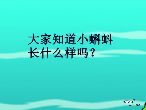 二年级上册语文04.《小蝌蚪找妈妈》课件PPT第3页