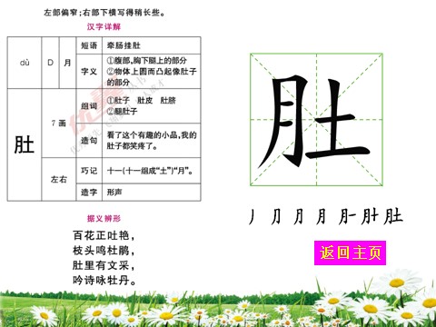 二年级上册语文（生字教学课件）小蝌蚪找妈妈第8页