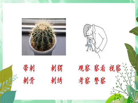 二年级上册语文3 植物妈妈有办法第6页