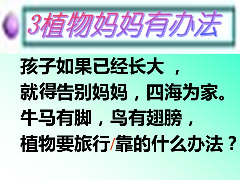 二年级上册语文02.《植物妈妈有办法》课件PPT第10页