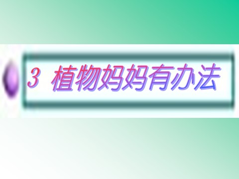 二年级上册语文02.《植物妈妈有办法》课件PPT第2页