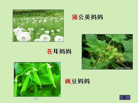 二年级上册语文04.《植物妈妈有办法》课件PPT第4页